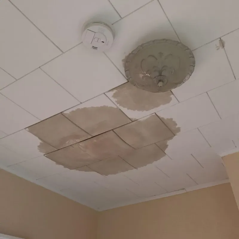 Ceiling Water Damage Repair in Wadsworth, OH